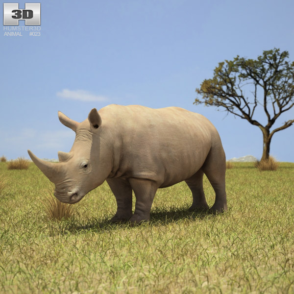 rhino 3d plants